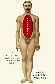 anatomies