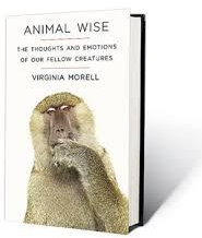 animal wise