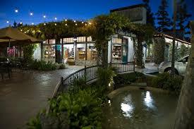 cellar door_books_location