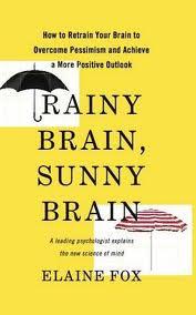 rainy brain_sunny_brain