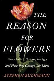 the reason_for_flowers